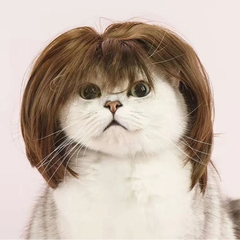 Kitty Wig Brown Bob New in Package Ooh La La!